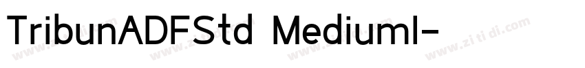 TribunADFStd MediumI字体转换